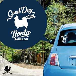 fUC J[XebJ[ y ps z  XebJ[ V[ ybg v[g LO 蕨 JbeBOV[g I[_[Ch A KX   Vv 킢 h