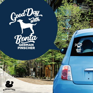 y BLACK FRIDAY P5{ z fUC J[XebJ[ y W[}EsV[ z  XebJ[ V[ ybg v[g LO 蕨 JbeBOV[g I[_[Ch A KX 