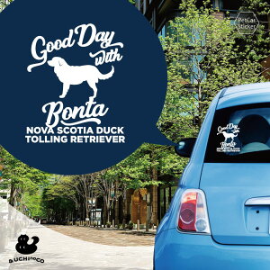 y BLACK FRIDAY P5{ z fUC J[XebJ[ y m@EXRVAE_bNEg[OEg[o[ z  XebJ[ V[ ybg v[g LO 蕨 JbeBOV[g I[