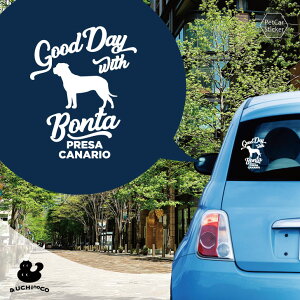 fUC J[XebJ[ y vTEJiI z  XebJ[ V[ ybg v[g LO 蕨 JbeBOV[g I[_[Ch A KX   Vv 