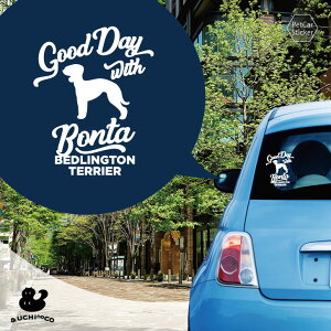 y BLACK FRIDAY P5{ z fUC J[XebJ[ y xhgEeA z  XebJ[ V[ ybg v[g LO 蕨 JbeBOV[g I[_[Ch A KX 