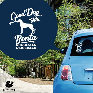 y BLACK FRIDAY P5{ z fUC J[XebJ[ y [fVAEbWobN z  XebJ[ V[ ybg v[g LO 蕨 JbeBOV[g I[_[Ch A KX 