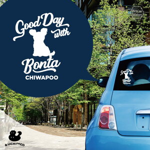 fUC J[XebJ[ y `v[ z  XebJ[ V[ ybg v[g LO 蕨 JbeBOV[g I[_[Ch A KX   Vv 킢 h