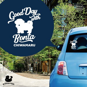 y BLACK FRIDAY P5{ z fUC J[XebJ[ y `} z  XebJ[ V[ ybg v[g LO 蕨 JbeBOV[g I[_[Ch A KX   