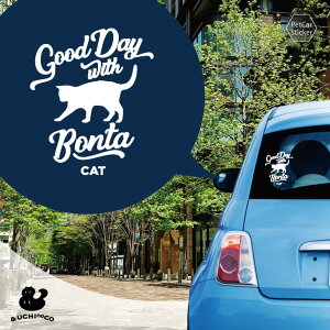 fUC J[XebJ[ y L z  XebJ[ V[ ybg v[g LO 蕨 JbeBOV[g I[_[Ch A KX   Vv 킢 