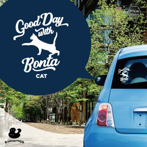 fUC J[XebJ[ y L2 z  XebJ[ V[ ybg v[g LO 蕨 JbeBOV[g I[_[Ch A KX   Vv 킢 