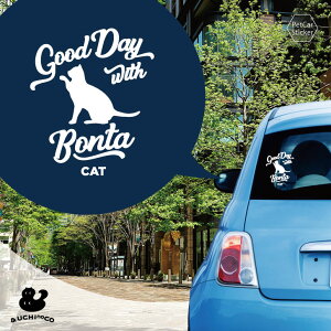 y X[p[SALEԒ P10{ z fUC J[XebJ[ y L z  XebJ[ V[ ybg v[g LO 蕨 JbeBOV[g I[_[Ch A KX  