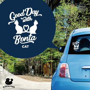 fUC J[XebJ[ y n[gL z  XebJ[ V[ ybg v[g LO 蕨 JbeBOV[g I[_[Ch A KX   Vv 킢 