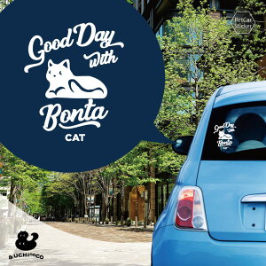 fUC J[XebJ[ y xݔL z  XebJ[ V[ ybg v[g LO 蕨 JbeBOV[g I[_[Ch A KX   Vv 킢 ˂ 