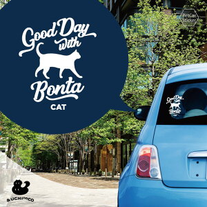 y X[p[SALEԒ P10{ z fUC J[XebJ[ y L z  XebJ[ V[ ybg v[g LO 蕨 JbeBOV[g I[_[Ch A KX  