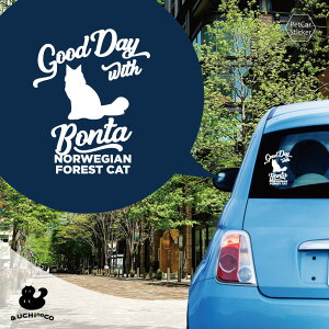 fUC J[XebJ[ y mEF[WtHXgLbg z  XebJ[ V[ ybg v[g LO 蕨 JbeBOV[g I[_[Ch A KX  