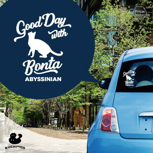 fUC J[XebJ[ y ArVjA z  XebJ[ V[ ybg v[g LO 蕨 JbeBOV[g I[_[Ch A KX   Vv 킢