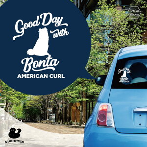 fUC J[XebJ[ y AJJ[ z  XebJ[ V[ ybg v[g LO 蕨 JbeBOV[g I[_[Ch A KX   Vv 