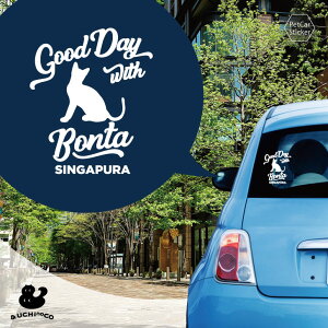 fUC J[XebJ[ y VKv[ z  XebJ[ V[ ybg v[g LO 蕨 JbeBOV[g I[_[Ch A KX   Vv 킢