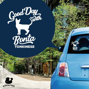 y X[p[SALEԒ P10{ z fUC J[XebJ[ y gLj[Y z  XebJ[ V[ ybg v[g LO 蕨 JbeBOV[g I[_[Ch A KX  