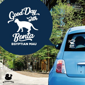 fUC J[XebJ[ y GWvV}E z  XebJ[ V[ ybg v[g LO 蕨 JbeBOV[g I[_[Ch A KX   Vv 