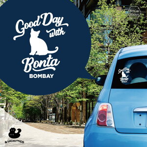 fUC J[XebJ[ y {xC z  XebJ[ V[ ybg v[g LO 蕨 JbeBOV[g I[_[Ch A KX   Vv 킢 