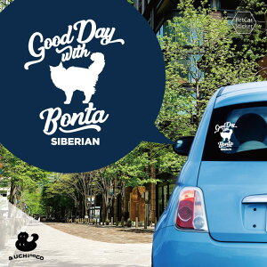 fUC J[XebJ[ y TCxA2 z  XebJ[ V[ ybg v[g LO 蕨 JbeBOV[g I[_[Ch A KX   Vv 킢