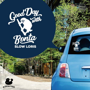 fUC J[XebJ[ y X[X z  XebJ[ V[ ybg v[g LO 蕨 JbeBOV[g I[_[Ch A KX   Vv 킢