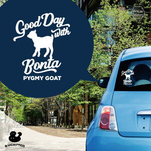 fUC J[XebJ[ y sO~[S[g z  XebJ[ V[ ybg v[g LO 蕨 JbeBOV[g I[_[Ch A KX   Vv 킢