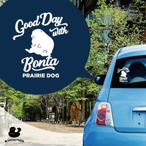 fUC J[XebJ[ y v[[hbO2 z  XebJ[ V[ ybg v[g LO 蕨 JbeBOV[g I[_[Ch A KX   Vv 