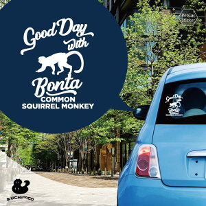 fUC J[XebJ[ y XU z  XebJ[ V[ ybg v[g LO 蕨 JbeBOV[g I[_[Ch A KX   Vv 킢 h