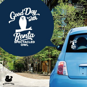 fUC J[XebJ[ y KltNE z  XebJ[ V[ ybg v[g LO 蕨 JbeBOV[g I[_[Ch A KX   Vv 킢