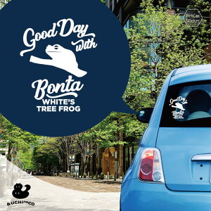 y X[p[SALEԒ P10{ z fUC J[XebJ[ y CGAKG z  XebJ[ V[ ybg v[g LO 蕨 JbeBOV[g I[_[Ch A KX 