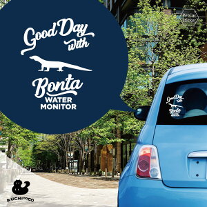 y X[p[SALEԒ P10{ z fUC J[XebJ[ y EH[^[j^[ z  XebJ[ V[ ybg v[g LO 蕨 JbeBOV[g I[_[Ch A KX 