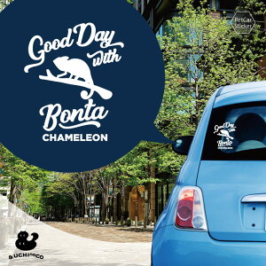 y X[p[SALEԒ P10{ z fUC J[XebJ[ y JI z  XebJ[ V[ ybg v[g LO 蕨 JbeBOV[g I[_[Ch A KX  