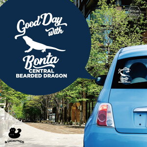 y X[p[SALEԒ P10{ z fUC J[XebJ[ y tgASqQgJQ z  XebJ[ V[ ybg v[g LO 蕨 JbeBOV[g I[_[Ch A KX 