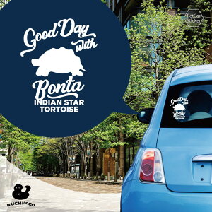 y X[p[SALEԒ P10{ z fUC J[XebJ[ y ChzVK z  XebJ[ V[ ybg v[g LO 蕨 JbeBOV[g I[_[Ch A KX 