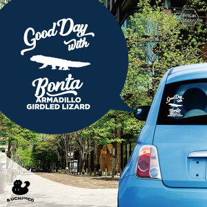 y }\ P5{ zfUC J[XebJ[ y A}WgJQ z  XebJ[ V[ ybg v[g LO 蕨 JbeBOV[g I[_[Ch A KX  