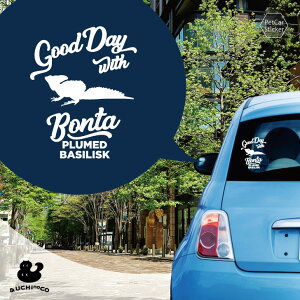 y X[p[SALEԒ P10{ z fUC J[XebJ[ y O[oVXN z  XebJ[ V[ ybg v[g LO 蕨 JbeBOV[g I[_[Ch A KX 