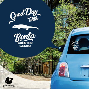 y X[p[SALEԒ P10{ z fUC J[XebJ[ y NXebhQbR[ z  XebJ[ V[ ybg v[g LO 蕨 JbeBOV[g I[_[Ch A KX 