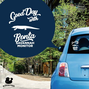 y X[p[SALEԒ P10{ z fUC J[XebJ[ y Toij^[ z  XebJ[ V[ ybg v[g LO 蕨 JbeBOV[g I[_[Ch A KX 