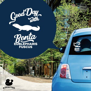 y X[p[SALEԒ P10{ z fUC J[XebJ[ y _CIEgJQhL z  XebJ[ V[ ybg v[g LO 蕨 JbeBOV[g I[_[Ch A KX 