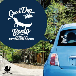 fUC J[XebJ[ y jVAtJgJQhL z  XebJ[ V[ ybg v[g LO 蕨 JbeBOV[g I[_[Ch A KX   V