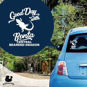 y X[p[SALEԒ P10{ z fUC J[XebJ[ y tgASqQgJQ2 z  XebJ[ V[ ybg v[g LO 蕨 JbeBOV[g I[_[Ch A KX 