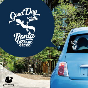 y }\ P5{ zfUC J[XebJ[ y Ip[hQbR[3 z  XebJ[ V[ ybg v[g LO 蕨 JbeBOV[g I[_[Ch A KX  