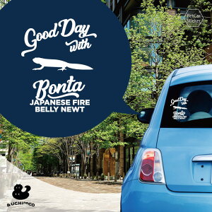 y X[p[SALEԒ P10{ z fUC J[XebJ[ y AJnC z  XebJ[ V[ ybg v[g LO 蕨 JbeBOV[g I[_[Ch A KX 