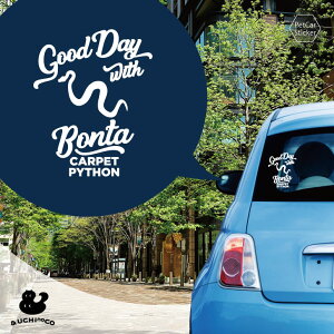 y X[p[SALEԒ P10{ z fUC J[XebJ[ y J[ybgpC\ z  XebJ[ V[ ybg v[g LO 蕨 JbeBOV[g I[_[Ch A KX 