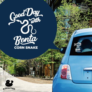 y X[p[SALEԒ P10{ z fUC J[XebJ[ y R[Xl[N z  XebJ[ V[ ybg v[g LO 蕨 JbeBOV[g I[_[Ch A KX 