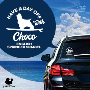 y BLACK FRIDAY P5{ z fUC J[XebJ[ y CObVEXvK[EXpjG z  XebJ[ V[ ybg v[g LO 蕨 JbeBOV[g I[_[Ch