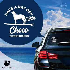 y }\ P5{ z fUC J[XebJ[ y fBAnEh z  XebJ[ V[ ybg v[g LO 蕨 JbeBOV[g I[_[Ch A KX  