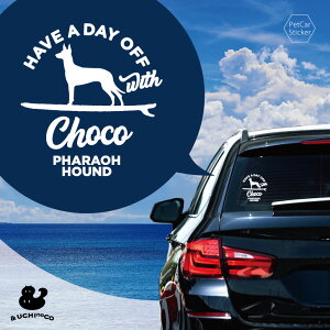 fUC J[XebJ[ y t@IEnEh z  XebJ[ V[ ybg v[g LO 蕨 JbeBOV[g I[_[Ch A KX   Vv 