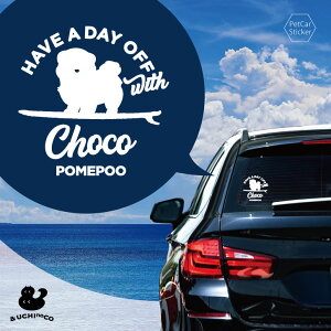 y BLACK FRIDAY P5{ z fUC J[XebJ[ y |v[ z  XebJ[ V[ ybg v[g LO 蕨 JbeBOV[g I[_[Ch A KX   