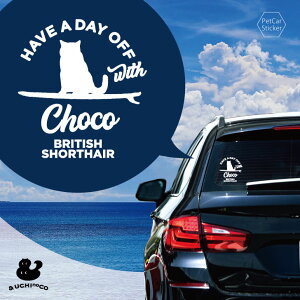 fUC J[XebJ[ y ueBbVV[gwA z  XebJ[ V[ ybg v[g LO 蕨 JbeBOV[g I[_[Ch A KX   V