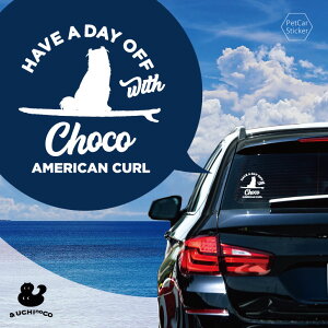 fUC J[XebJ[ y AJJ[ z  XebJ[ V[ ybg v[g LO 蕨 JbeBOV[g I[_[Ch A KX   Vv 