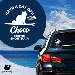 fUC J[XebJ[ y GL]`bNV[gwA z  XebJ[ V[ ybg v[g LO 蕨 JbeBOV[g I[_[Ch A KX   V